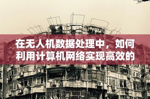在无人机数据处理中，如何利用计算机网络实现高效的数据传输与共享？