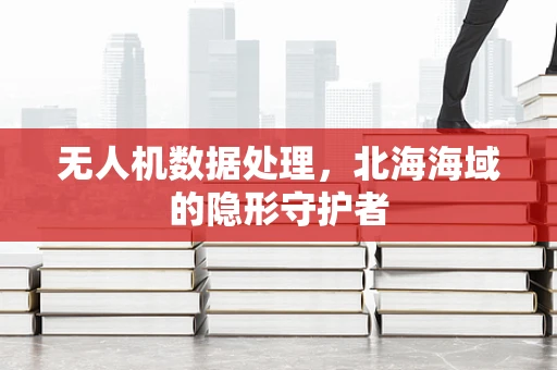 无人机数据处理，北海海域的隐形守护者