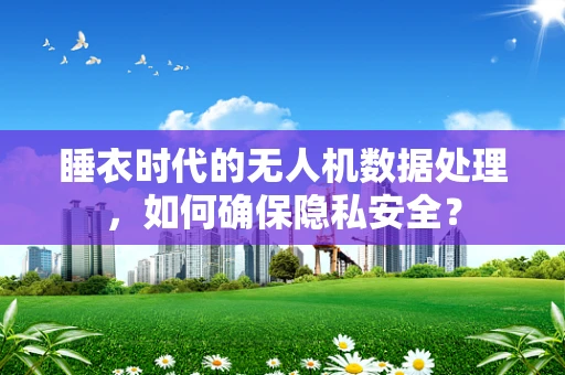 睡衣时代的无人机数据处理，如何确保隐私安全？