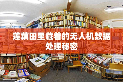 莲藕田里藏着的无人机数据处理秘密
