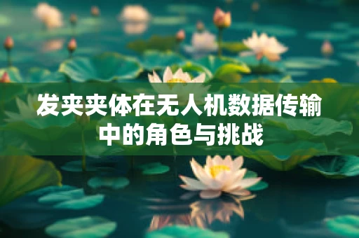 发夹夹体在无人机数据传输中的角色与挑战