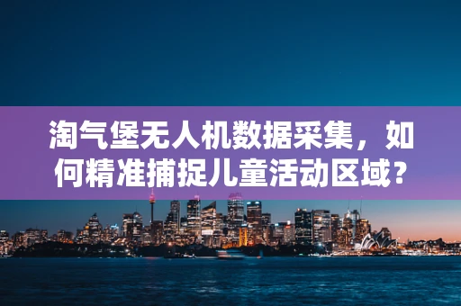 淘气堡无人机数据采集，如何精准捕捉儿童活动区域？