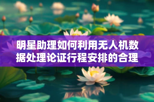 明星助理如何利用无人机数据处理论证行程安排的合理性？