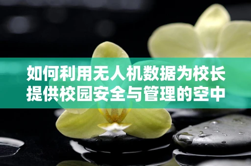 如何利用无人机数据为校长提供校园安全与管理的空中视角？