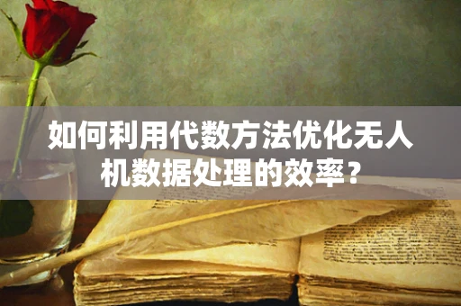 如何利用代数方法优化无人机数据处理的效率？