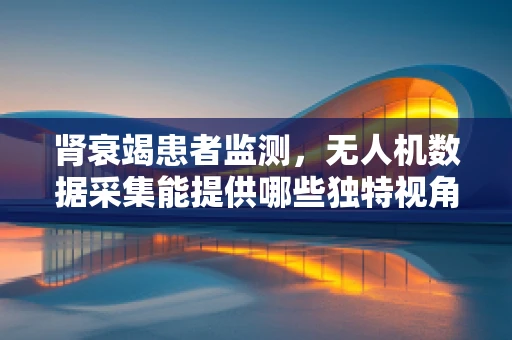 肾衰竭患者监测，无人机数据采集能提供哪些独特视角？
