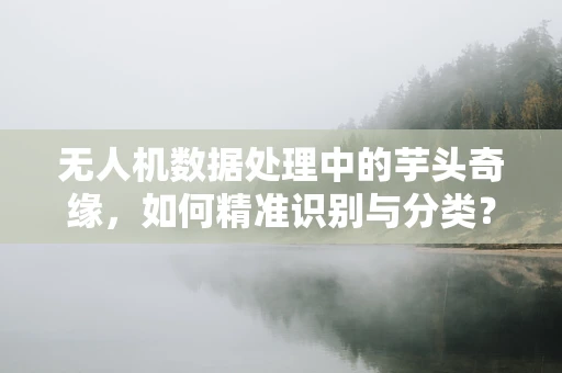 无人机数据处理中的芋头奇缘，如何精准识别与分类？