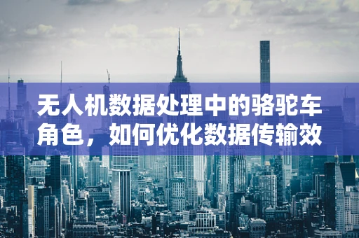 无人机数据处理中的骆驼车角色，如何优化数据传输效率？