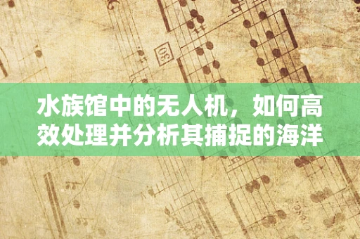水族馆中的无人机，如何高效处理并分析其捕捉的海洋生物数据？