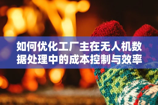 如何优化工厂主在无人机数据处理中的成本控制与效率提升？