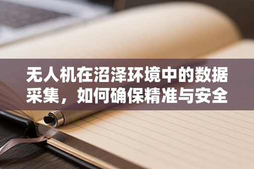 无人机在沼泽环境中的数据采集，如何确保精准与安全？