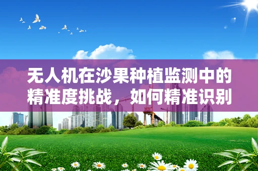 无人机在沙果种植监测中的精准度挑战，如何精准识别沙果的成熟度？