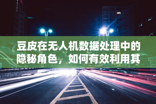 豆皮在无人机数据处理中的隐秘角色，如何有效利用其反射特性优化图像处理？