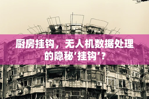 厨房挂钩，无人机数据处理的隐秘‘挂钩’？