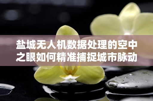 盐城无人机数据处理的空中之眼如何精准捕捉城市脉动？