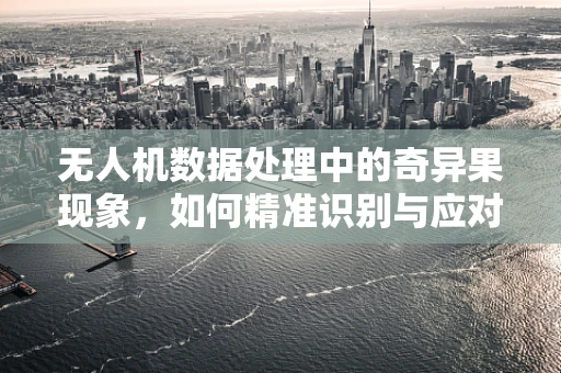 无人机数据处理中的奇异果现象，如何精准识别与应对？
