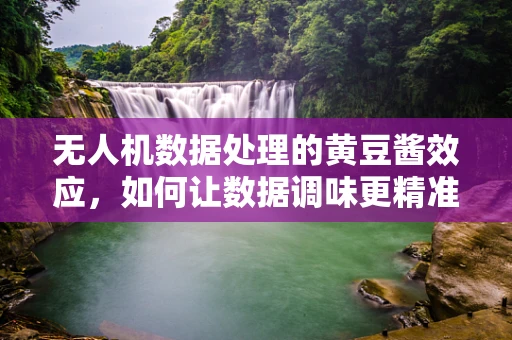 无人机数据处理的黄豆酱效应，如何让数据调味更精准？