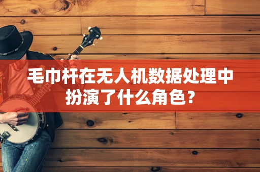毛巾杆在无人机数据处理中扮演了什么角色？