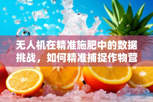无人机在精准施肥中的数据挑战，如何精准捕捉作物营养需求？