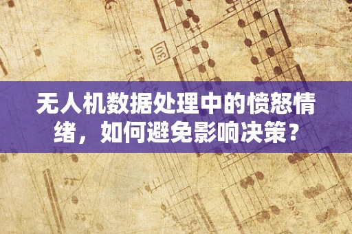 无人机数据处理中的愤怒情绪，如何避免影响决策？