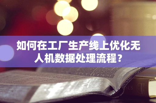 如何在工厂生产线上优化无人机数据处理流程？