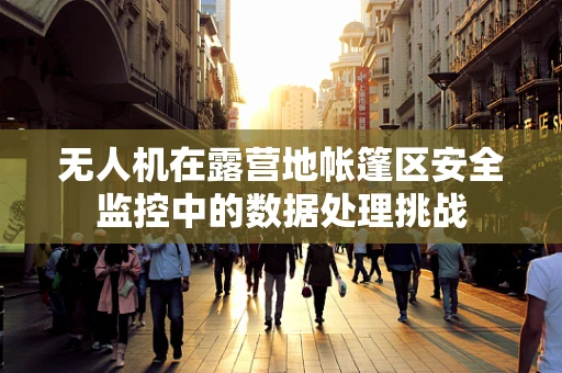 无人机在露营地帐篷区安全监控中的数据处理挑战