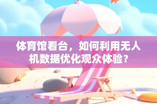 体育馆看台，如何利用无人机数据优化观众体验？