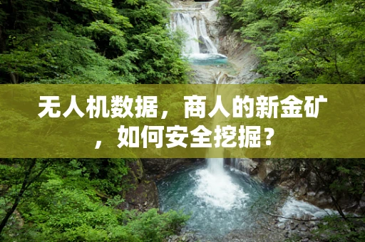 无人机数据，商人的新金矿，如何安全挖掘？