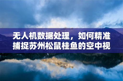 无人机数据处理，如何精准捕捉苏州松鼠桂鱼的空中视角？