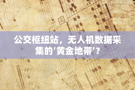 公交枢纽站，无人机数据采集的‘黄金地带’？
