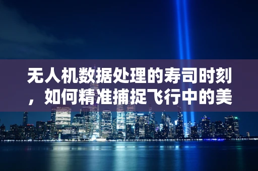 无人机数据处理的寿司时刻，如何精准捕捉飞行中的美食？