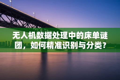 无人机数据处理中的床单谜团，如何精准识别与分类？