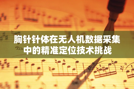 胸针针体在无人机数据采集中的精准定位技术挑战