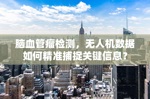脑血管瘤检测，无人机数据如何精准捕捉关键信息？