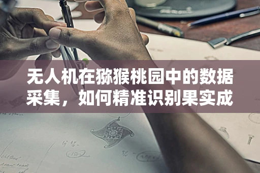 无人机在猕猴桃园中的数据采集，如何精准识别果实成熟度？