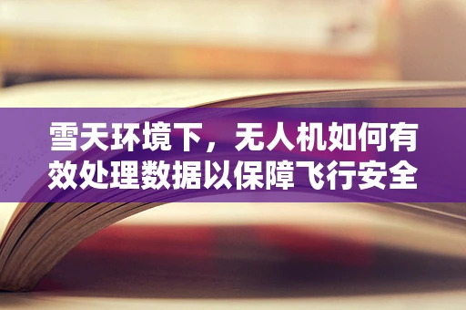 雪天环境下，无人机如何有效处理数据以保障飞行安全？