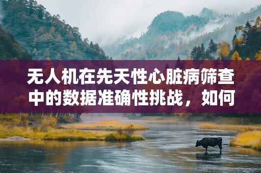 无人机在先天性心脏病筛查中的数据准确性挑战，如何克服？