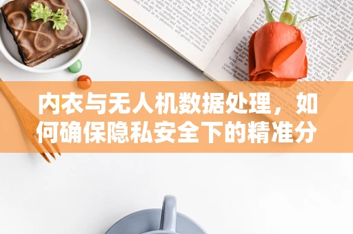 内衣与无人机数据处理，如何确保隐私安全下的精准分析？