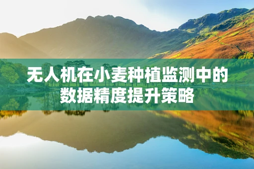 无人机在小麦种植监测中的数据精度提升策略