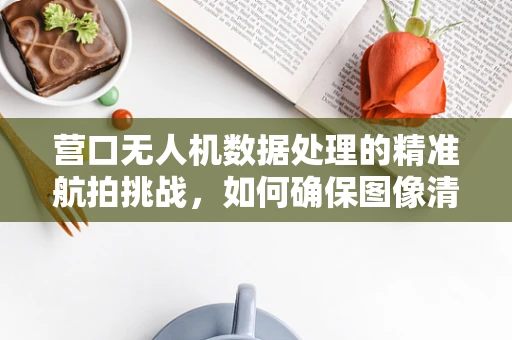 营口无人机数据处理的精准航拍挑战，如何确保图像清晰度与信息完整性？