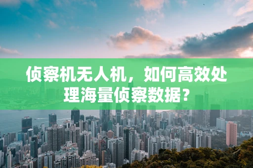 侦察机无人机，如何高效处理海量侦察数据？