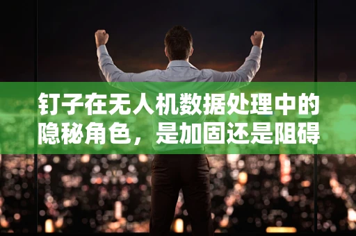 钉子在无人机数据处理中的隐秘角色，是加固还是阻碍？