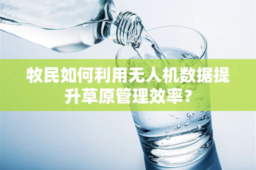 牧民如何利用无人机数据提升草原管理效率？