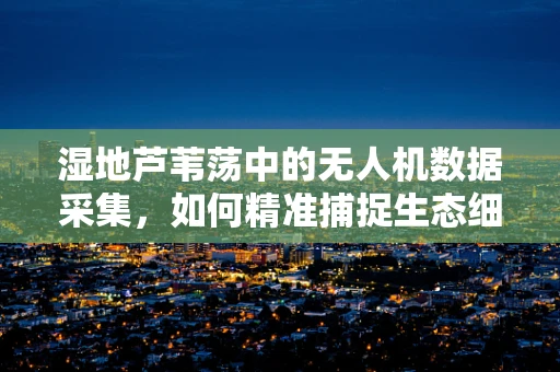 湿地芦苇荡中的无人机数据采集，如何精准捕捉生态细节？