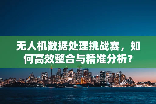 无人机数据处理挑战赛，如何高效整合与精准分析？