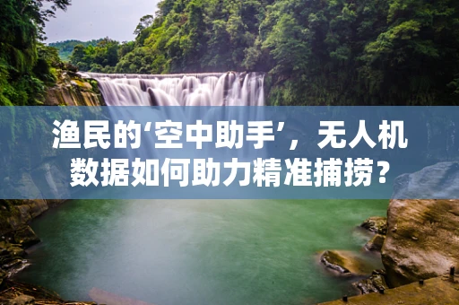 渔民的‘空中助手’，无人机数据如何助力精准捕捞？