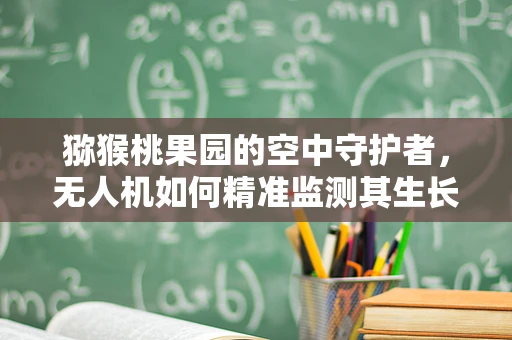 猕猴桃果园的空中守护者，无人机如何精准监测其生长数据？