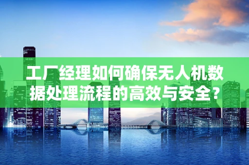 工厂经理如何确保无人机数据处理流程的高效与安全？