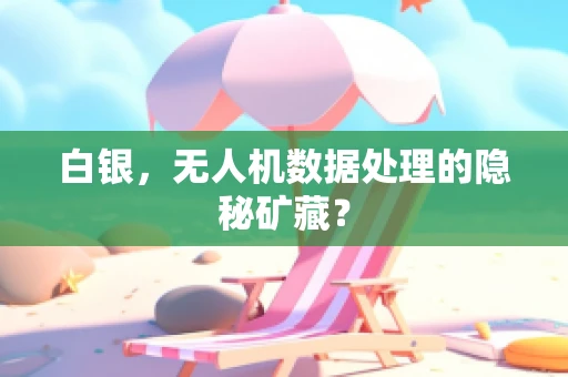 白银，无人机数据处理的隐秘矿藏？