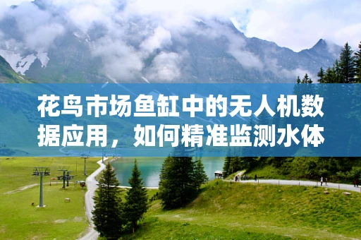 花鸟市场鱼缸中的无人机数据应用，如何精准监测水体质量？